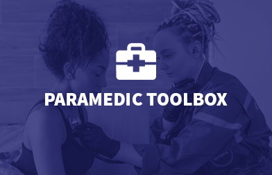 Vestibulum facilisis purus